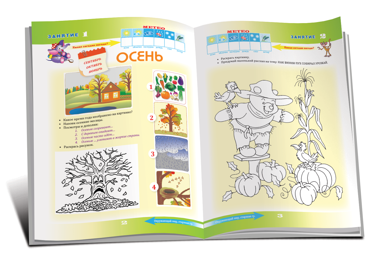 Окружающий мир 5+